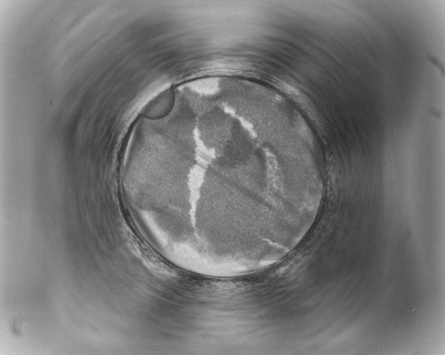 X0000102021427200808151305