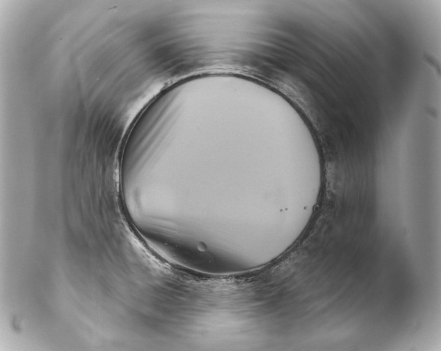 X0000102021428200808151305