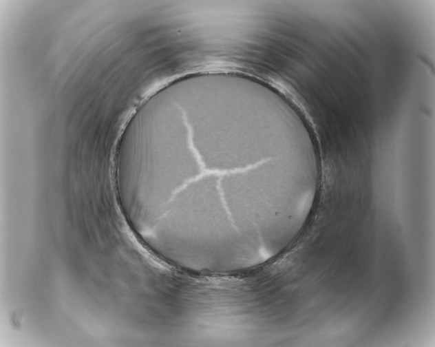X0000102021429200808151305