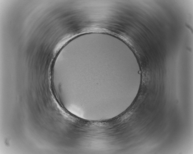 X0000102021430200808151305