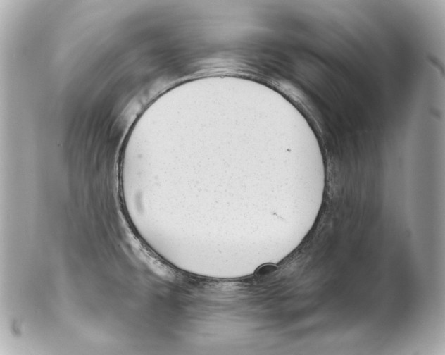 X0000102021431200808151305