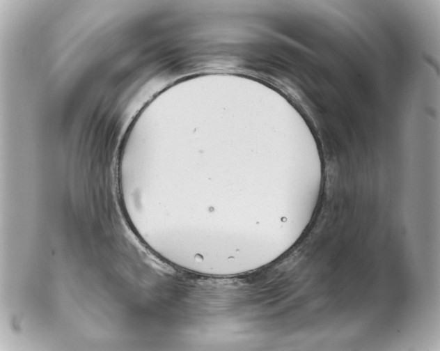 X0000102021432200808151305