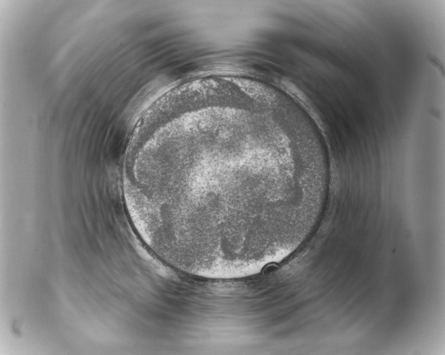 X0000102021433200808151305
