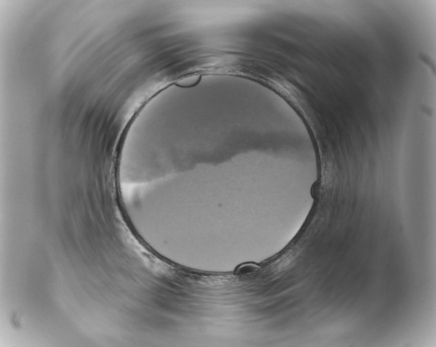 X0000102021434200808151305