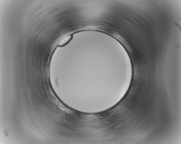 X0000102021436200808151305