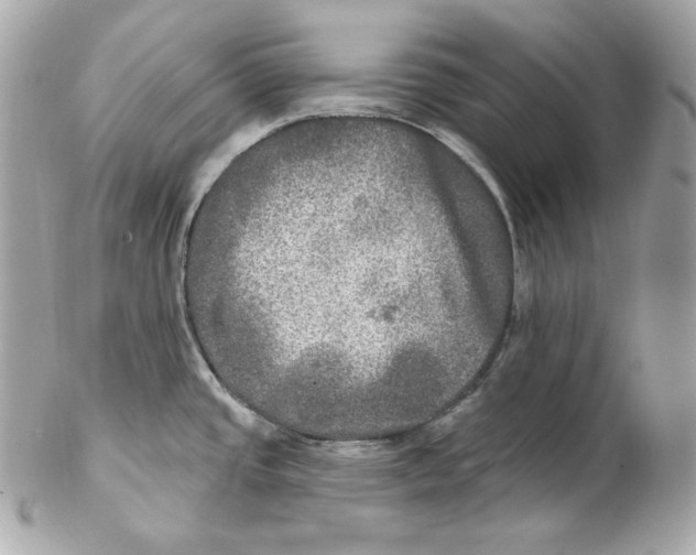 X0000102021437200808151305