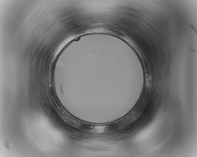 X0000102021438200808151305