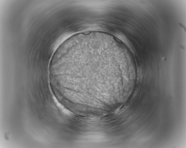X0000102021439200808151305