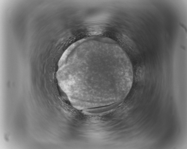 X0000102021441200808151304