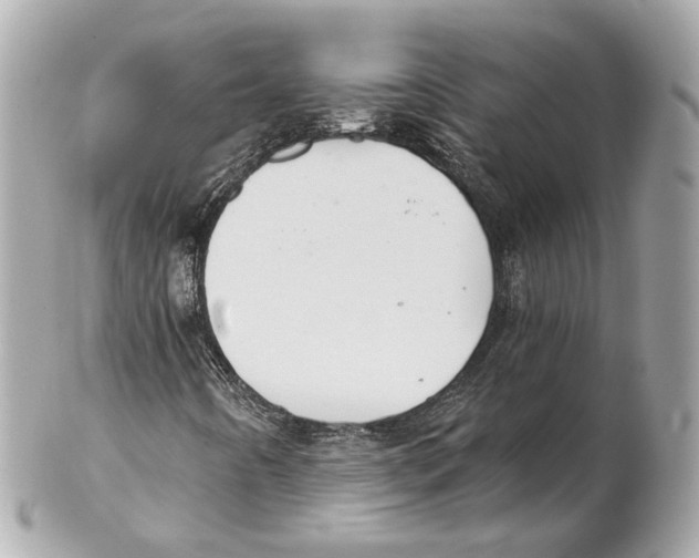 X0000102021442200808151304