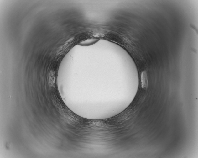 X0000102021443200808151304