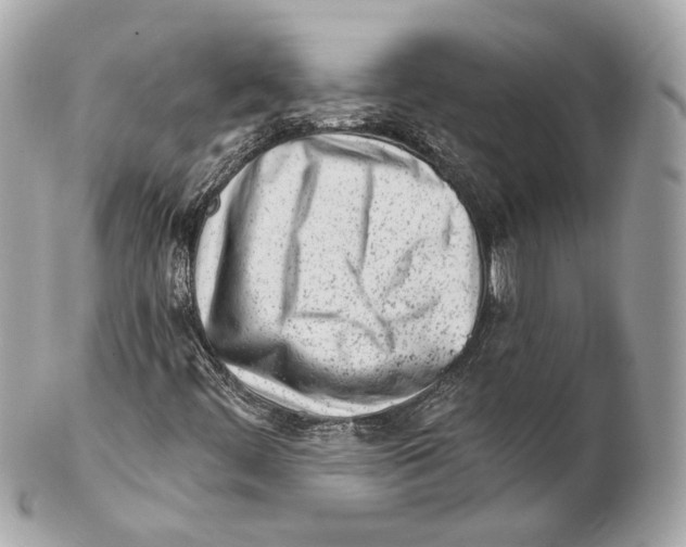 X0000102021444200808151304