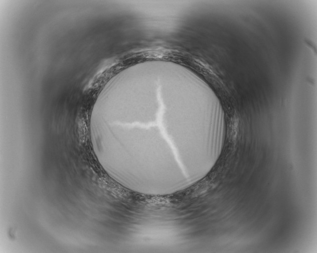 X0000102021446200808151304