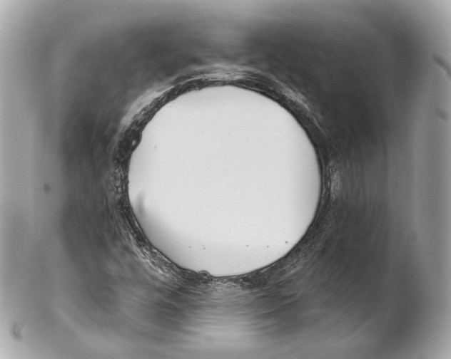 X0000102021448200808151304