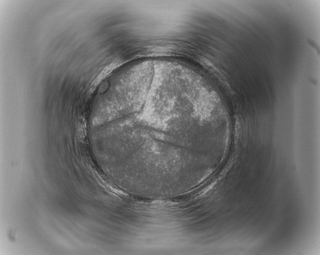 X0000102021449200808151304