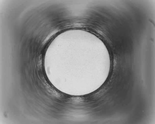 X0000102021450200808151304