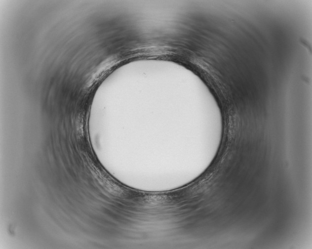 X0000102021451200808151304
