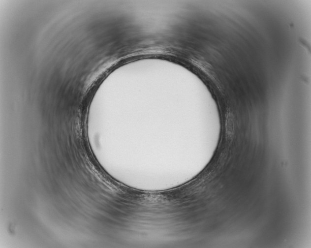 X0000102021452200808151304