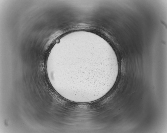 X0000102021453200808151304