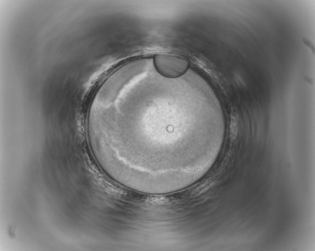 X0000102021454200808151304