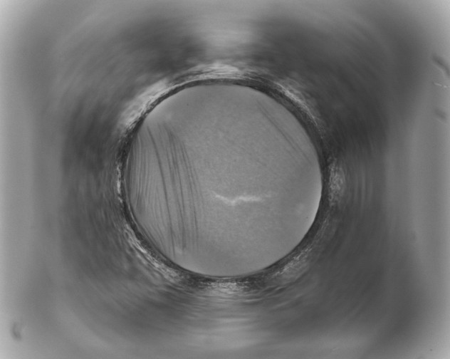 X0000102021455200808151304