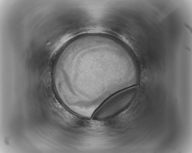 X0000102021456200808151304