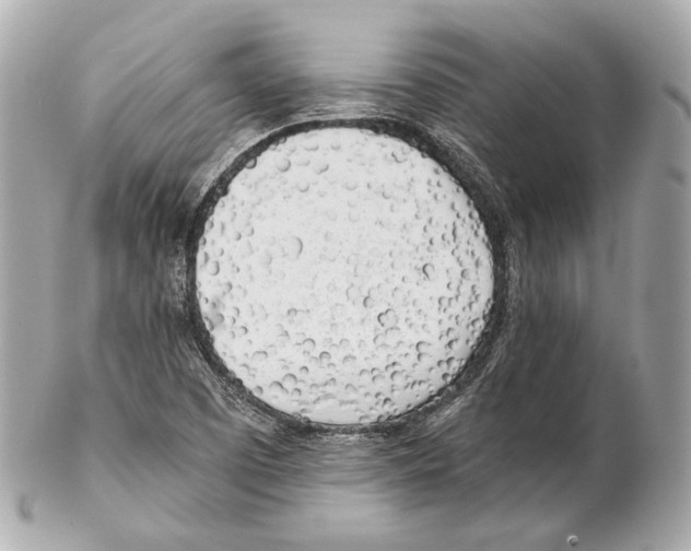 X0000102021457200808151304