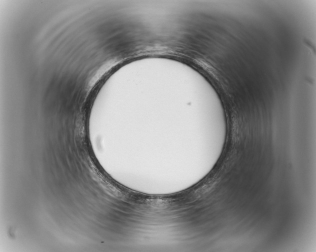 X0000102021458200808151304