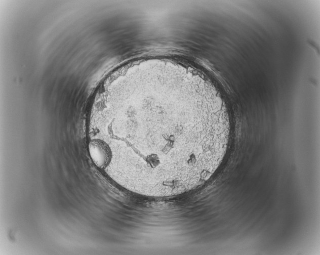 X0000102021459200808151304