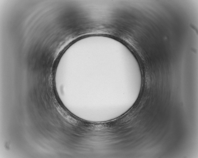 X0000102021460200808151304