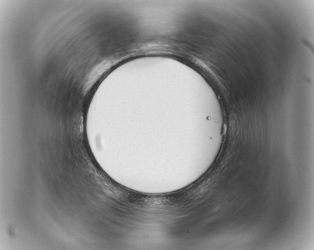 X0000102021461200808151304