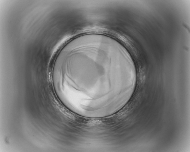 X0000102021462200808151304