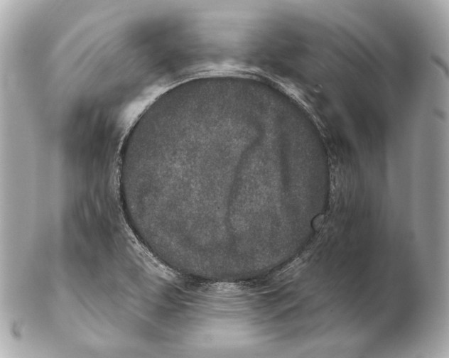 X0000102021463200808151304