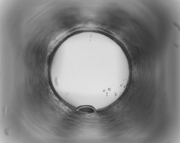 X0000102021464200808151304