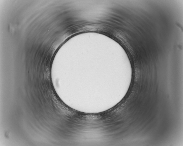 X0000102021465200808151304