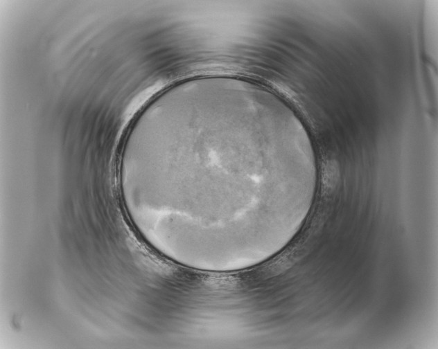 X0000102021466200808151304