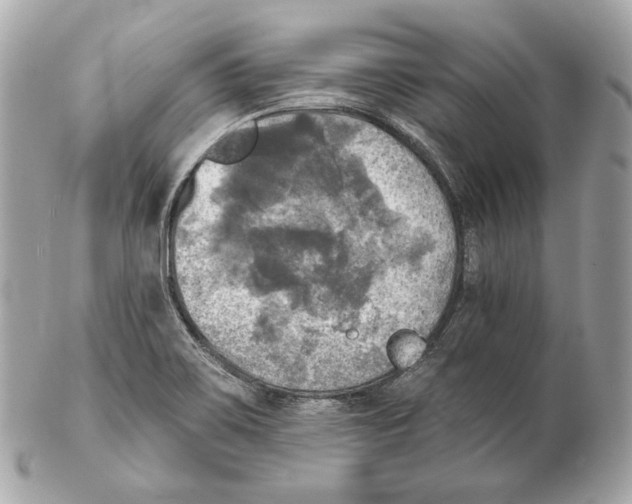 X0000102021467200808151304