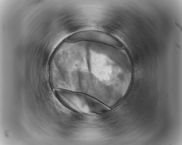 X0000102021468200808151304