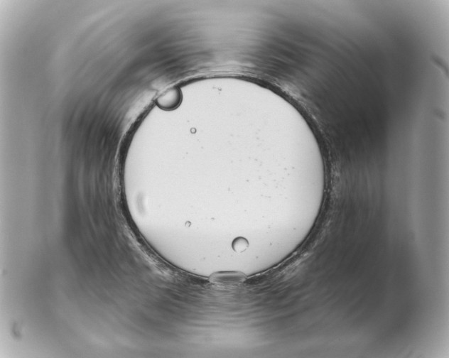 X0000102021469200808151304