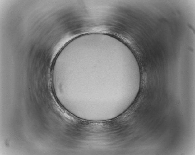 X0000102021470200808151304