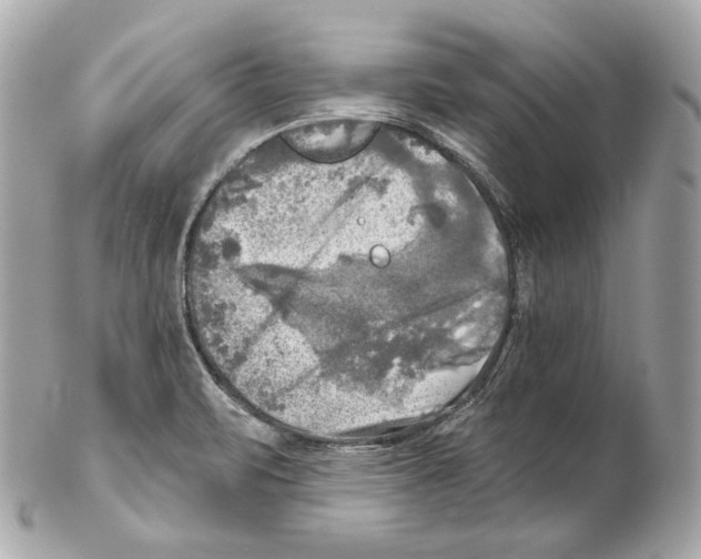 X0000102021471200808151304