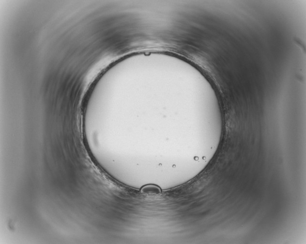 X0000102021472200808151304