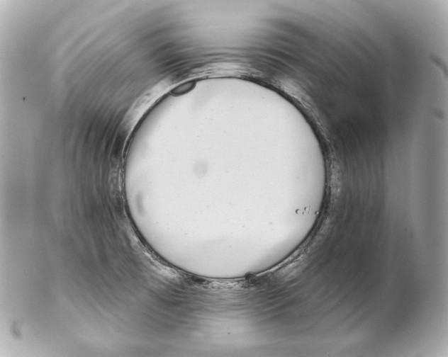 X0000102021473200808151304