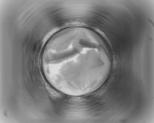 X0000102021474200808151304