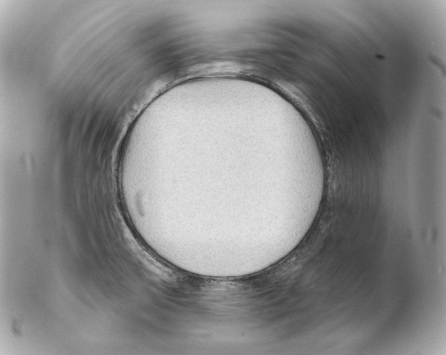 X0000102021475200808151304