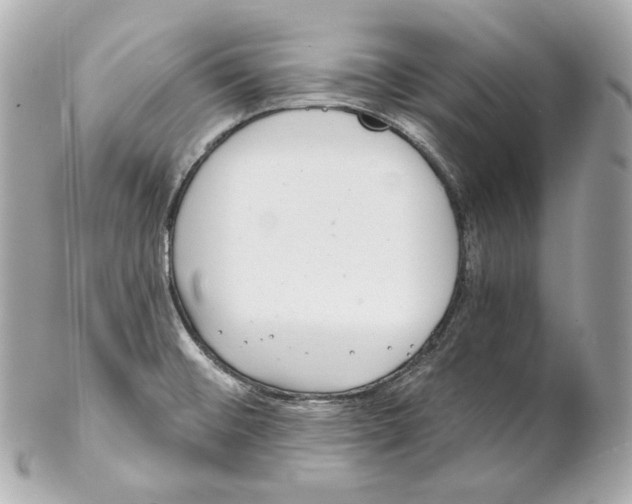 X0000102021476200808151304
