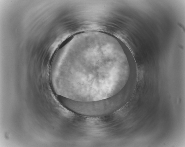 X0000102021477200808151304