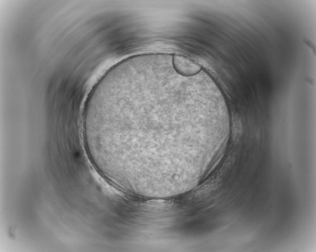 X0000102021478200808151304