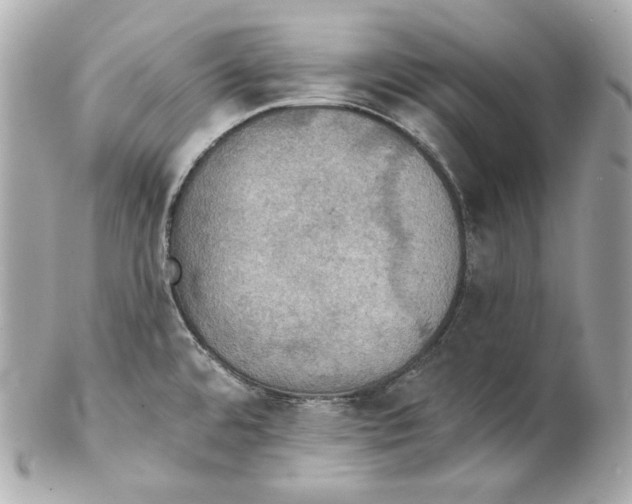 X0000102021480200808151304