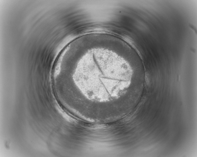 X0000102021482200808151304